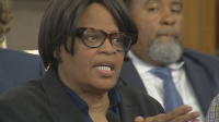 Good-Government Stalwart Vanessa Burns Dies At 73