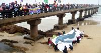 Mixed reaction after ConCourt blocks Shell’s Wild Coast exploration
