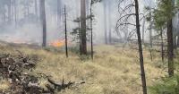 Researchers: Megafires are nothing new in the Southwest