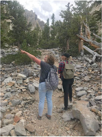 Western Nevada College invites community to ‘never stop learning’ with several fall courses available