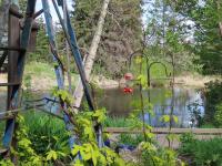 Ellis Nature Centre hosts final forest bathing session of season