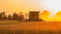 Weather, WASDE and the Road to Harvest