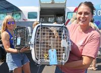 Nonprofit flies pets from overcrowded Oklahoma shelter to Central Oregon for adoption
