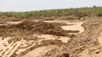 Ghana loses 8,900 hectares of forest reserves to illegal mining