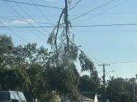 Portland area cleans up after storm that downed trees, cut power