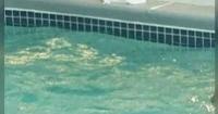 3-Year-Old Boy Critically Injured in New Jersey Pool Incident