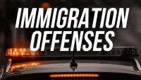10 indicted on federal immigration, firearm charges