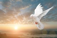 Spiritual Side: “Good and Pleasant”