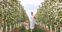 Travel Ontario: From corn mazes to sunflower fields — enjoy summer vacation