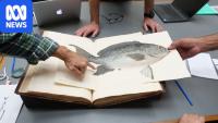 Artefacts from across the globe returned to southern WA