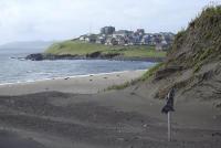 New rule allows dogs on Alaska’s Pribilof Islands for anti-rat duties