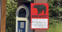 Woman hospitalized after brown bear attack on Anchorage trail