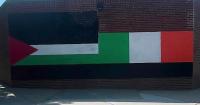 Mural linking Palestinian, Irish flags draws mixed reaction in Charlestown