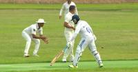 How the Minnesota cricket scene is steadily growing