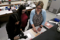 Wood’s research advances fertility understanding for the cattle sector
