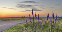 Prairie Fest invites families to explore the grasslands of South Dakota
