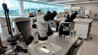 New building helps complete Utah's first full veterinary medicine program at USU
