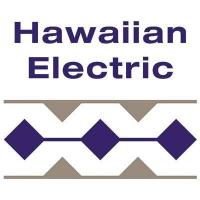 Hawaiian Electric monitoring wildfire risk conditions on Hawaiʻi Island