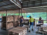 AUSTRALIA PARTNERS WITH KOLOMBANGARA FOREST PRODUCTS TO BUILD A MORE SUSTAINABLE TIMBER SECTOR