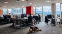 Publisher behind GTA VI launching game studio in Vancouver