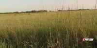 Protect Kansas hosts Montara meeting to raise alarm on data center
