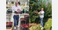 “Large sizes in high demand for peaches, nectarines, and paraguayos”