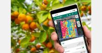 Agerpix Technologies launches its first Latin American subsidiary in Peru