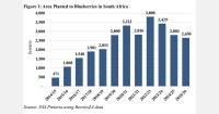 South African blueberry production reaches 38,900 tons in 2026