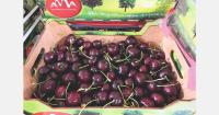 “The summer fruit market has been quite stable for years”