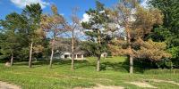 Pine wilt disease confirmed in North Dakota