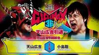 Daily Update: G1 Climax 36 semifinals, Hiroyoshi Tenzan retirement, Arena Mexico notes