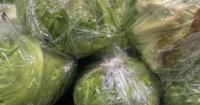 Unalaska healthcare provider explains cyclospora amid Lower 48 outbreak