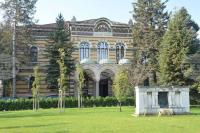 Bulgarian Orthodox Church Calls for Public Condemnation of Violence