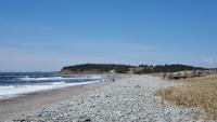 Swimming not advised at 2 N.S. beaches due to high bacteria levels