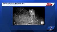 Nebraska Game and Parks Commission changes mountain lion hunting rules