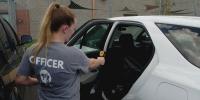 Nashville animal control warns of heat dangers after dog dies in hot car