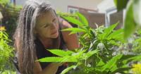 Bay Area woman learns to grow cannabis plants. Now, she's dispensing recipes.
