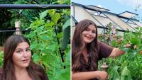 North Carolina grower says a late-summer planting can cut grocery bills into fall