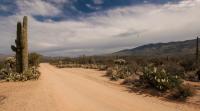 Thousands of Comments Shared with Governor Katie Hobbs Passionately Oppose Desert Southwest Gas Pipeline