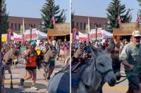 New Mexico’s Wild Burro Race Is Returning to Ruidoso