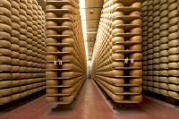 Italy's cheese loan system is under strain as extreme heat drives up storage costs