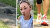 Florida Woman Comes Across ‘Cute’ Turtle. Then She Sees What’s Walking Toward Her: ‘Why Is There A Whole Zoo On Your Daily Walk’