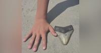 Megalodon tooth discovered by Pennsylvania family on New Jersey beach