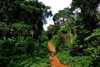 Wild Africa Spotlights Nigeria’s Fight To Save Endangered Species