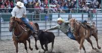 Painted Pony Rodeo comes to NNY