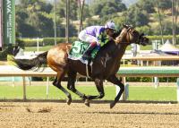 Pacific Classic begins to take shape, with Knightsbridge the expected favorite