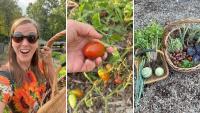 Maryland gardener let her backyard garden go wild, then uncovered beans, potatoes, tomatoes, and more