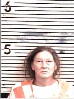 Bonifay woman charged with arson following residential fire investigation