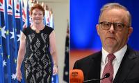Pauline Hanson calls for ban on migration from 'do not travel' countries