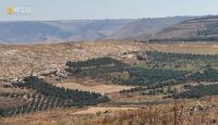 Israeli forces raid Syria’s Quneitra, fire on western Daraa, detain 3 shepherds